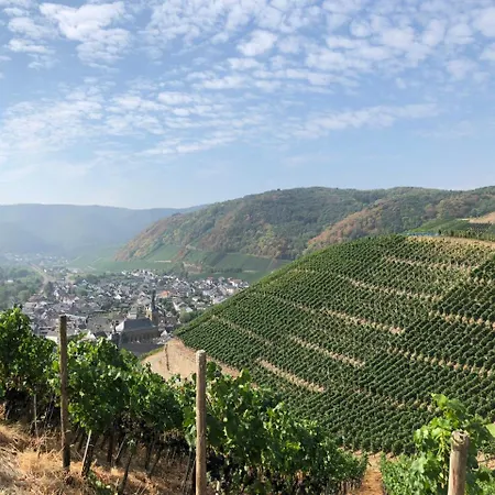 ホテル アールベッラ バート・ノイェンアール・アールヴァイラー