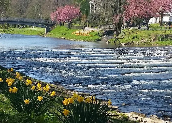 酒店 阿翰贝拉酒店 巴特诺因阿尔-阿尔韦勒
