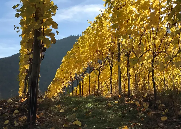Ahrbella Bad Neuenahr-Ahrweiler